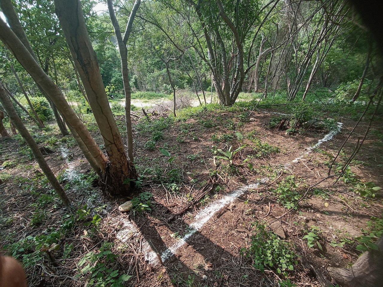 El terreno en el cerro donde se asienta la casa, en la costa de Oaxaca